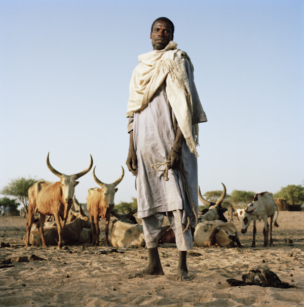 Abdallay Abdou Hassin,
Cow Herder,
Mayara, Lake Chad, Chad
