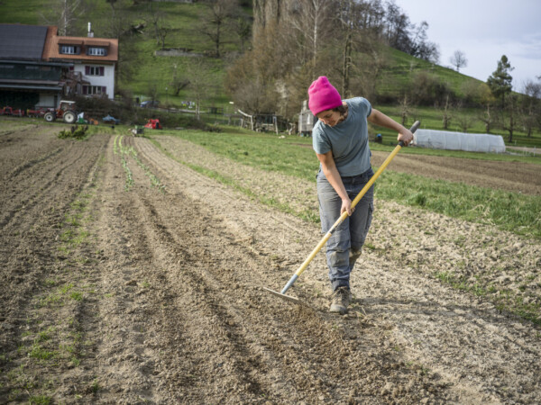 Marion Sonderegger preparing the field